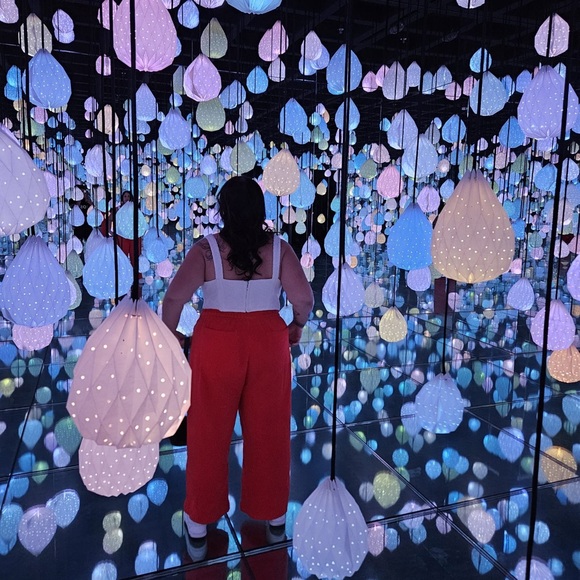 Meet your Posher, Lanaea - Picture 1 of 2